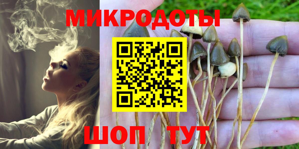 Псилоцибиновые грибы Psilocybine cubensis Черемхово