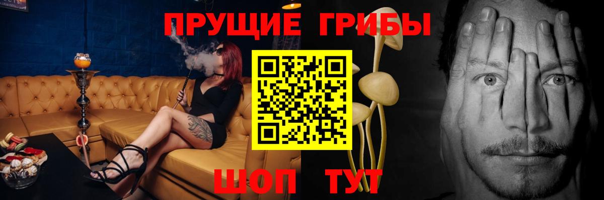 Псилоцибиновые грибы MAGIC MUSHROOMS  Вход с VPN  Черемхово 